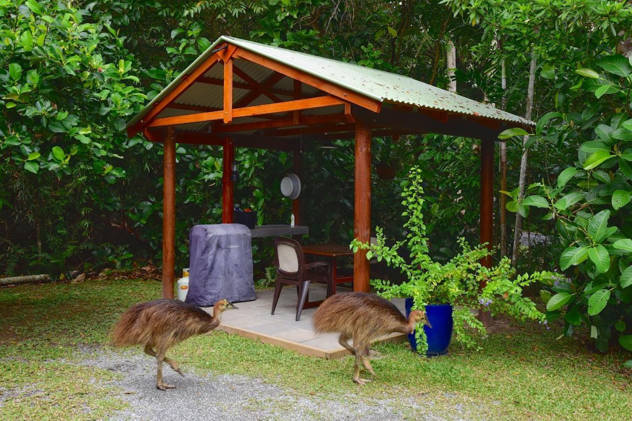 Thornton Beach Bungalows Daintree ケープ・トリビュレーション エクステリア 写真